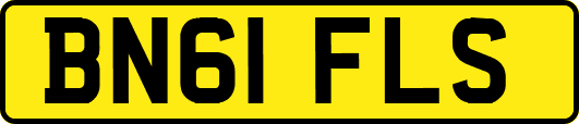 BN61FLS