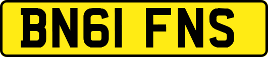 BN61FNS
