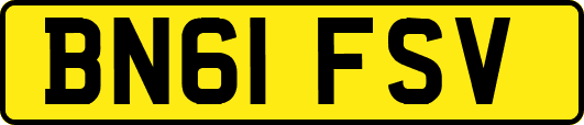 BN61FSV