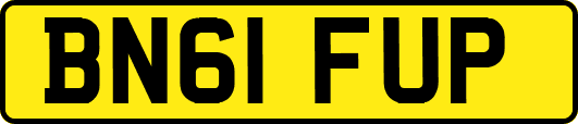 BN61FUP