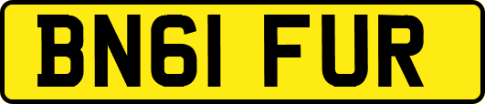 BN61FUR