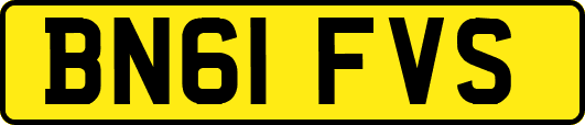 BN61FVS