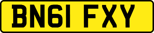 BN61FXY