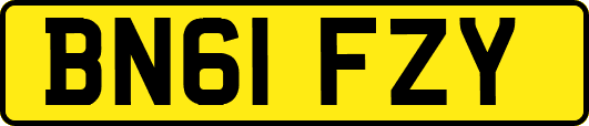 BN61FZY