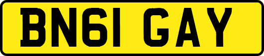 BN61GAY