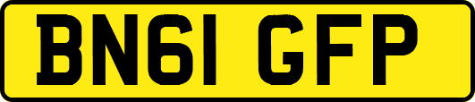 BN61GFP