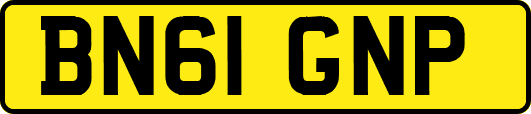 BN61GNP