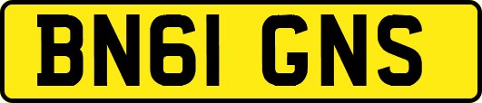 BN61GNS