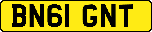 BN61GNT