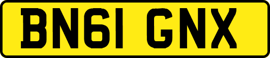 BN61GNX