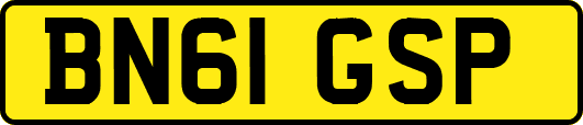 BN61GSP