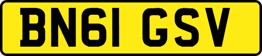 BN61GSV
