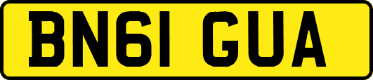 BN61GUA