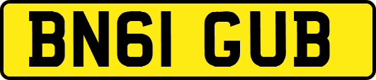 BN61GUB