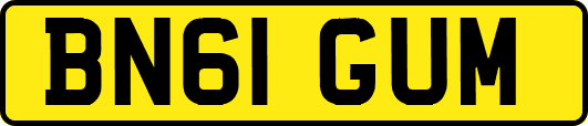 BN61GUM