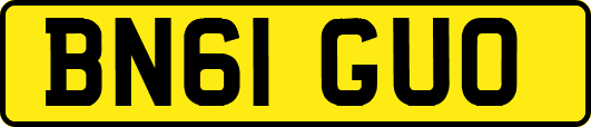 BN61GUO