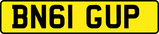 BN61GUP