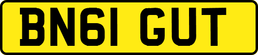 BN61GUT