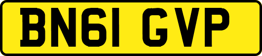 BN61GVP