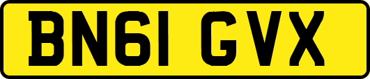 BN61GVX