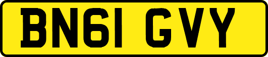 BN61GVY