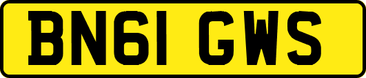 BN61GWS
