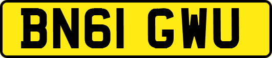 BN61GWU