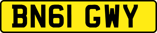 BN61GWY