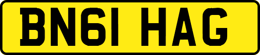 BN61HAG