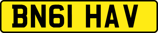 BN61HAV