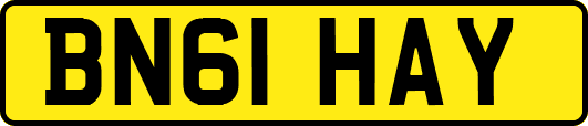 BN61HAY