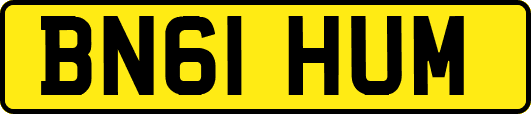 BN61HUM