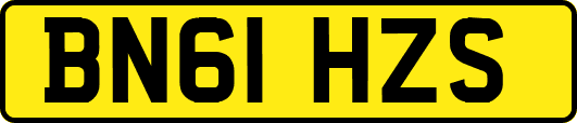 BN61HZS