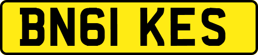 BN61KES