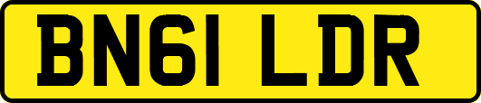 BN61LDR