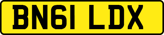 BN61LDX