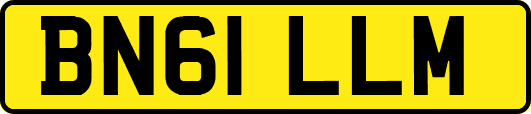 BN61LLM