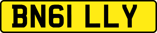 BN61LLY