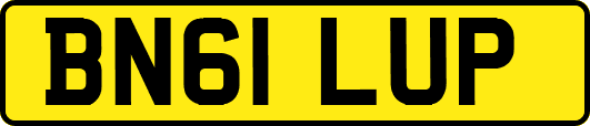 BN61LUP