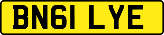 BN61LYE
