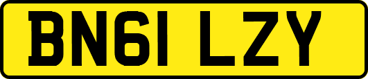 BN61LZY