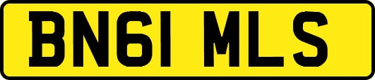 BN61MLS