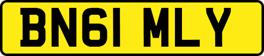 BN61MLY