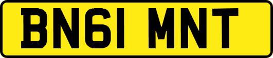 BN61MNT
