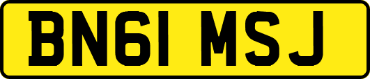 BN61MSJ