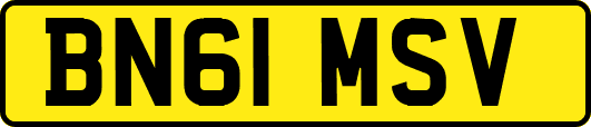 BN61MSV