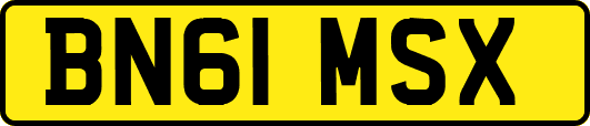 BN61MSX
