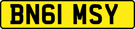 BN61MSY