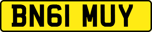 BN61MUY