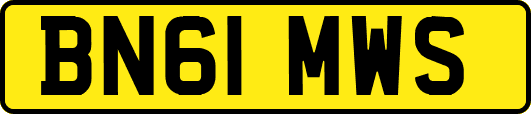 BN61MWS